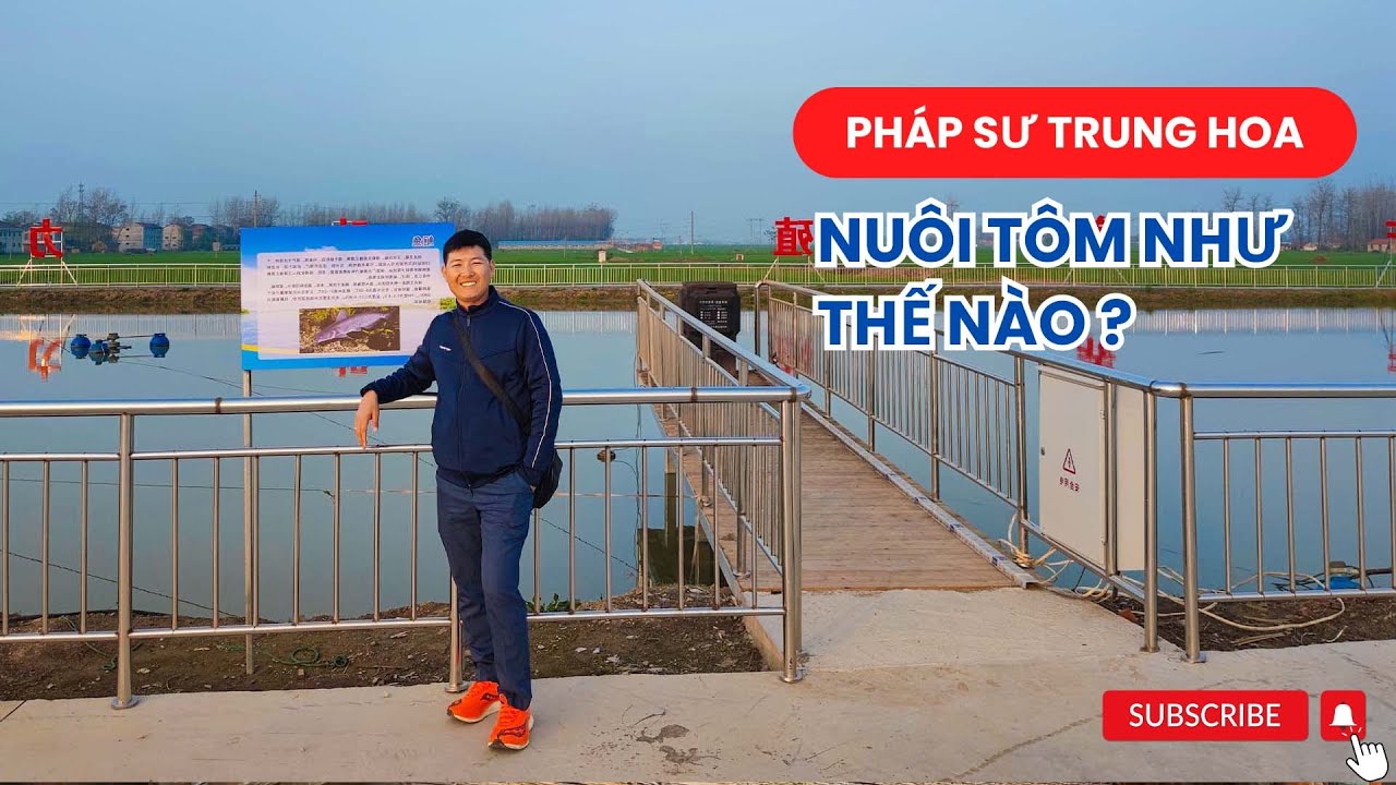 Hành trình học hỏi công nghệ vượt trội nuôi tôm ở Trung Quốc | Vũ Đức Thiện
