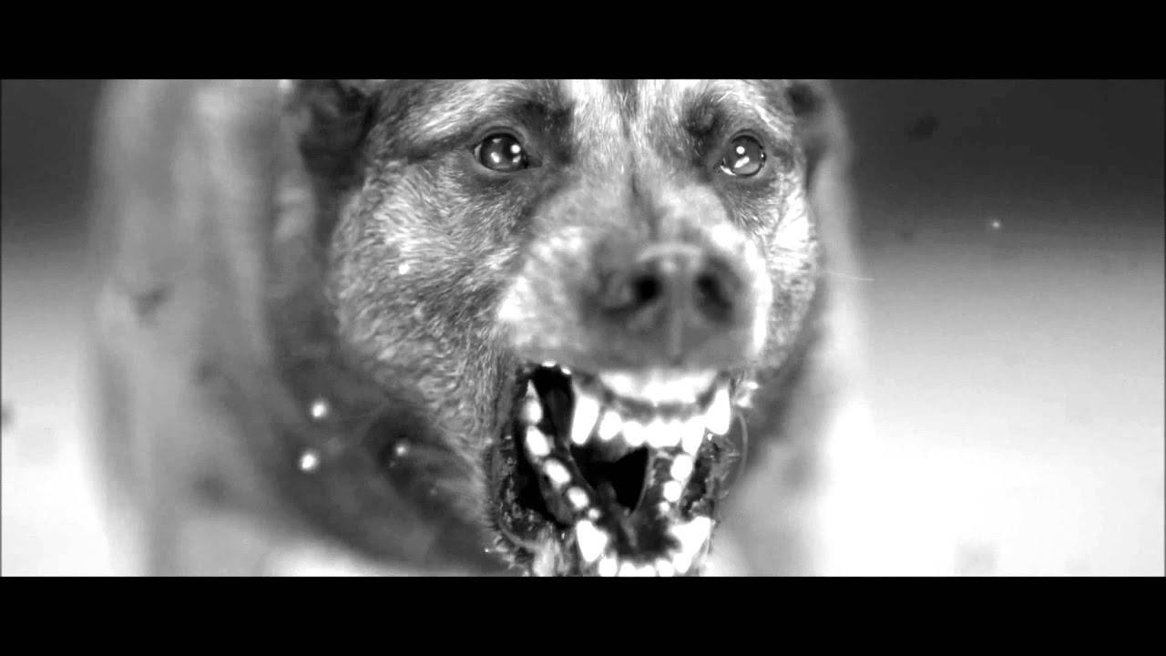 Brutality Will Prevail - Reprisal (Root Of All Evil)