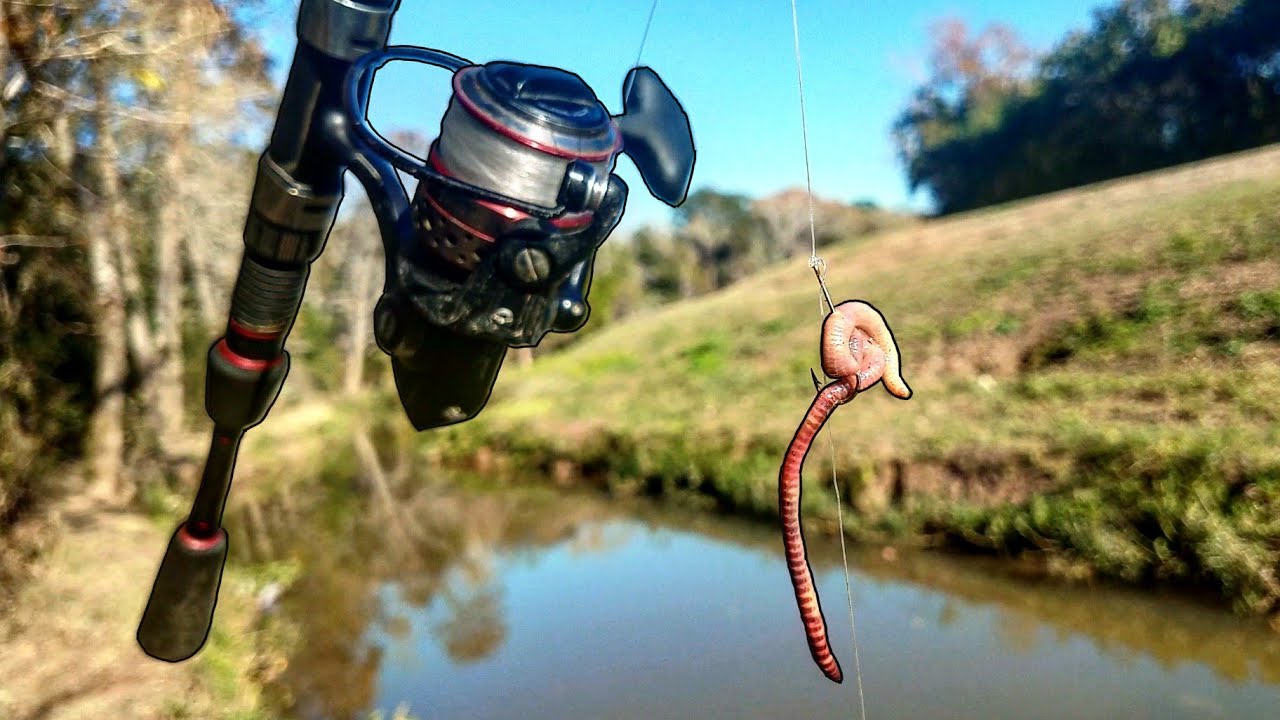 Creek Fishing with Worms for ANYTHING THAT BITES!