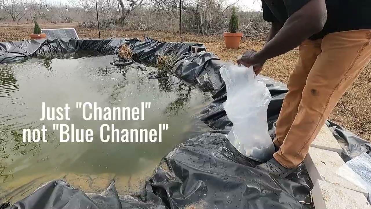 We Got Fish!