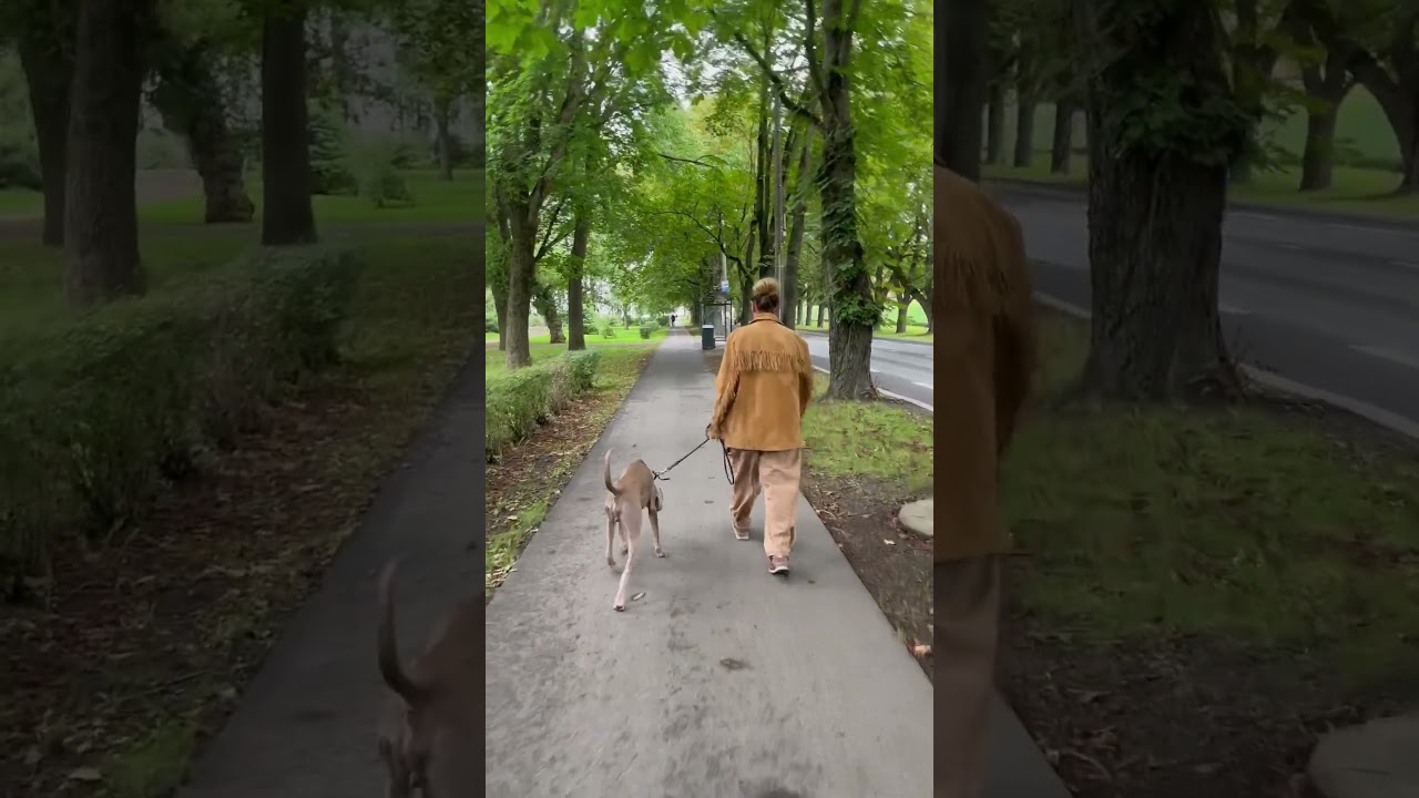 #lifestyleblog #travelvlog #vlogeveryday #animals #blogger #estoniarussians #vlogsfromestonia #re...