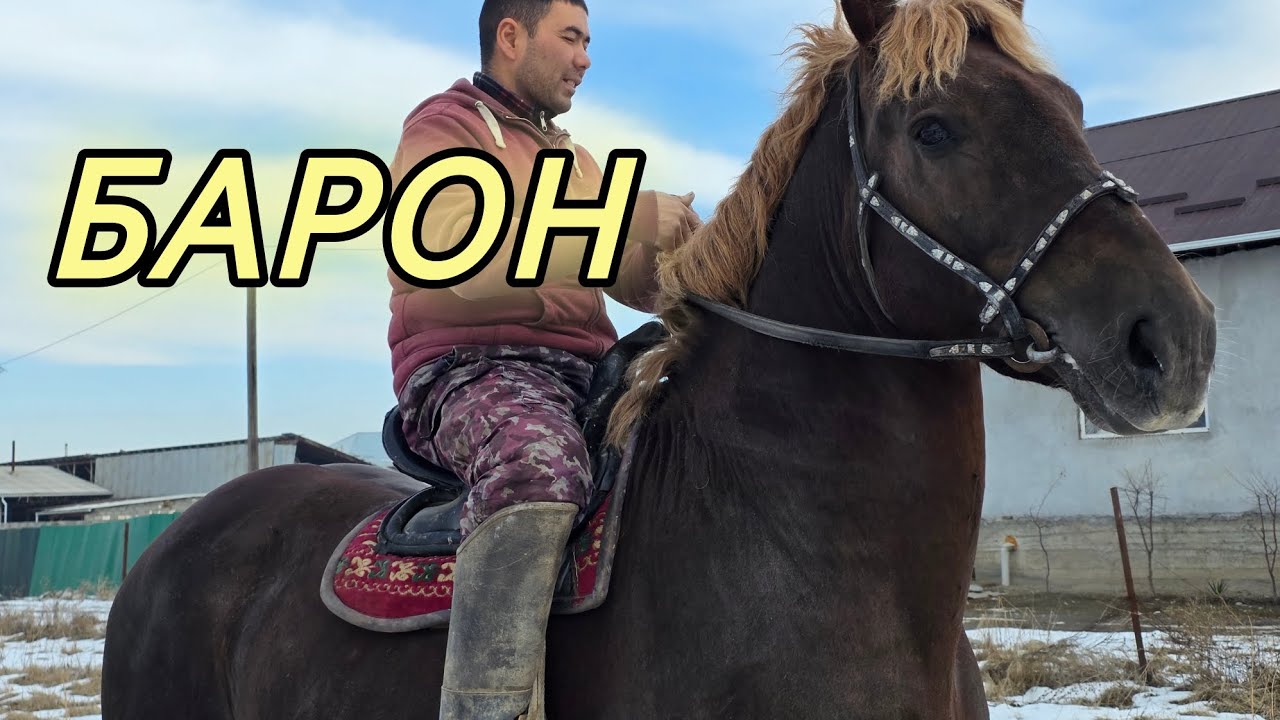 Барон ДАСТАНДАН 