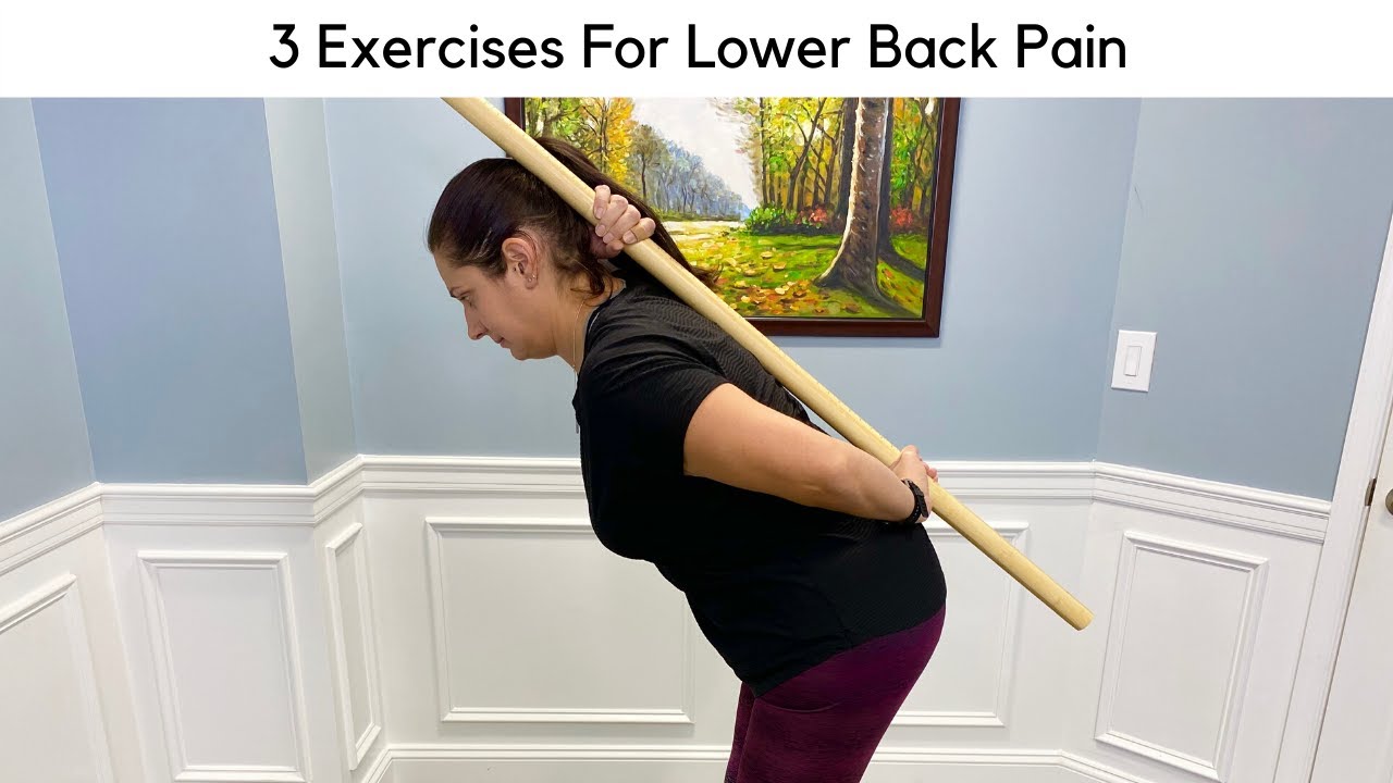 3 Exercises For Lower Back Pain