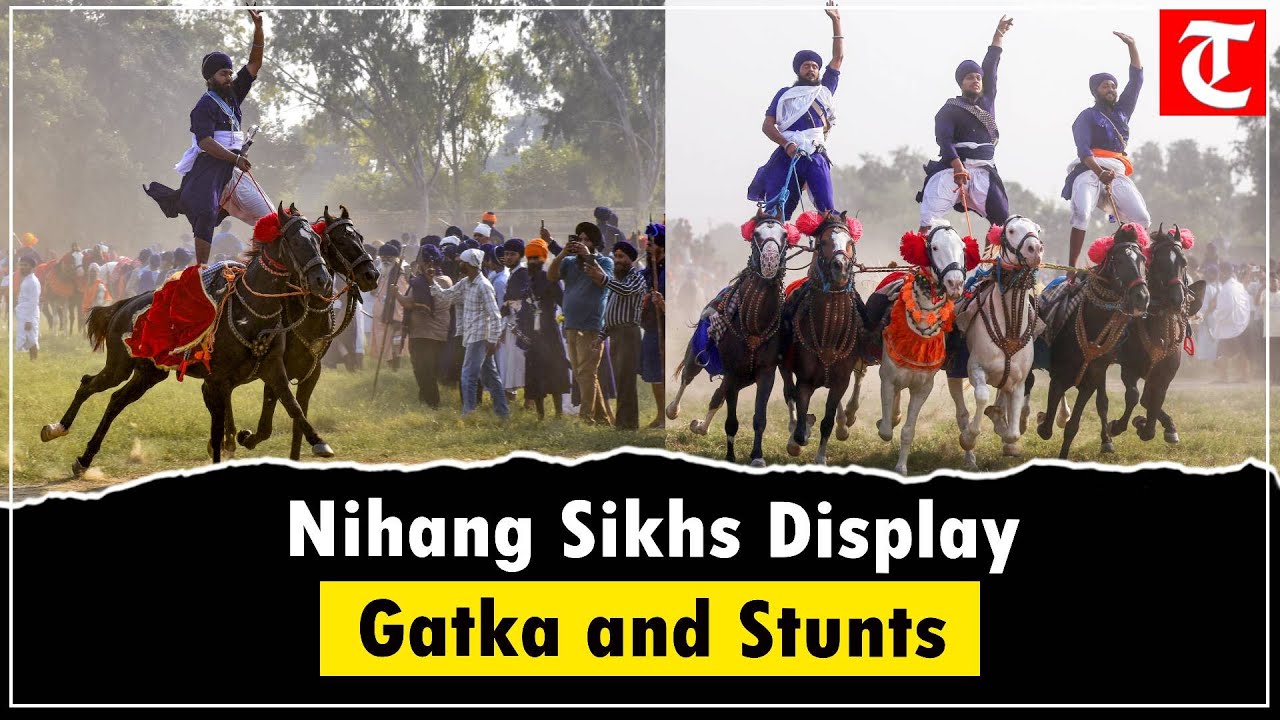 Nihang Sikhs Perform Horse Riding & Gatka Stunts After Bandi Chhor Divas