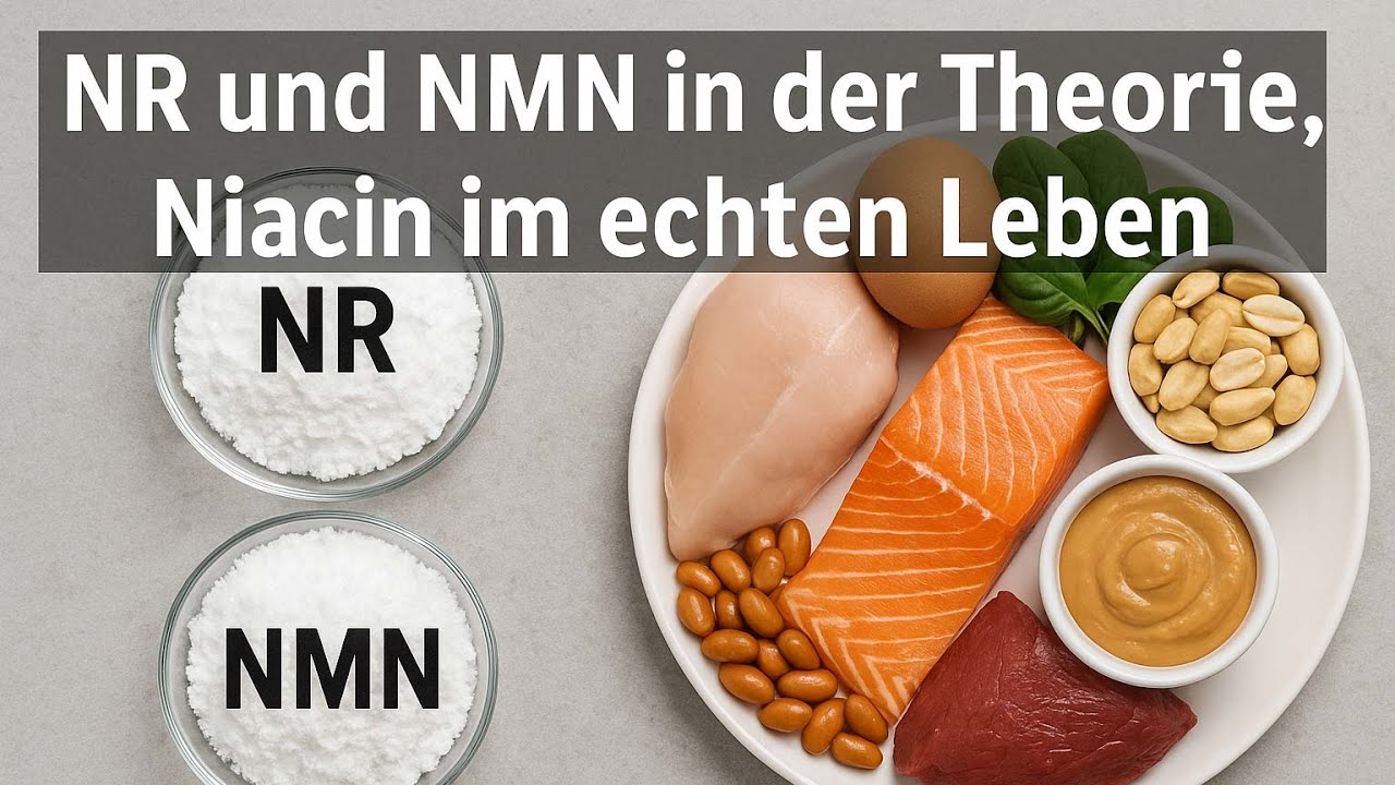 NR und NMN in der Theorie, Niacin im echten Leben