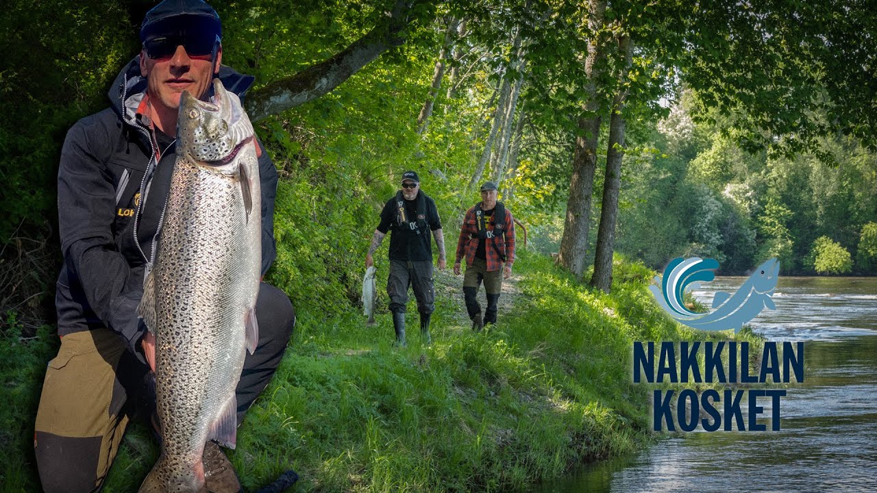 Suomen paras meritaimenpaikka?
