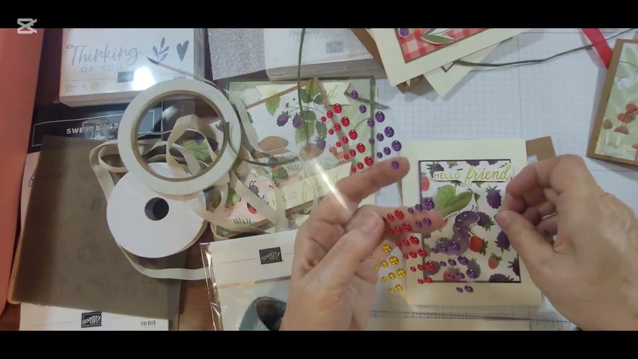 Набор декоративных бумаг Cute as a Bug 12x12 = 9 открыток
