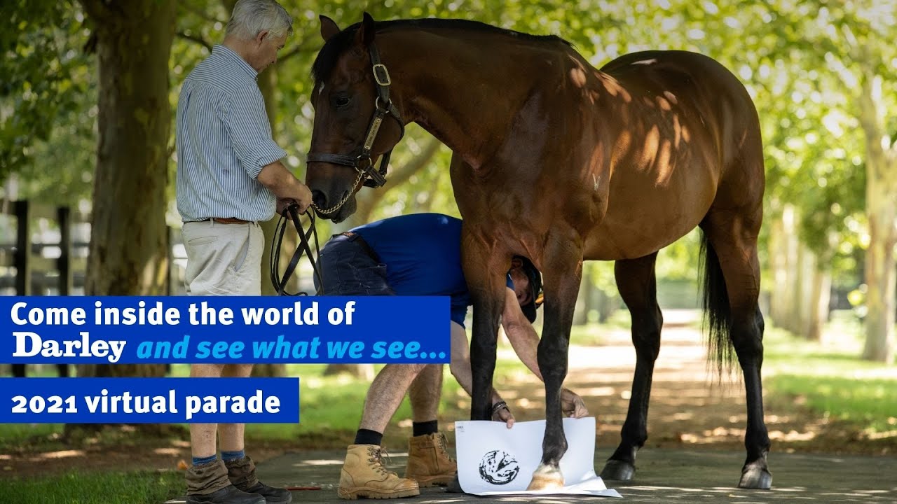 Darley 2021 Virtual Stallion Parade | Come inside the world of Darley and see what we see