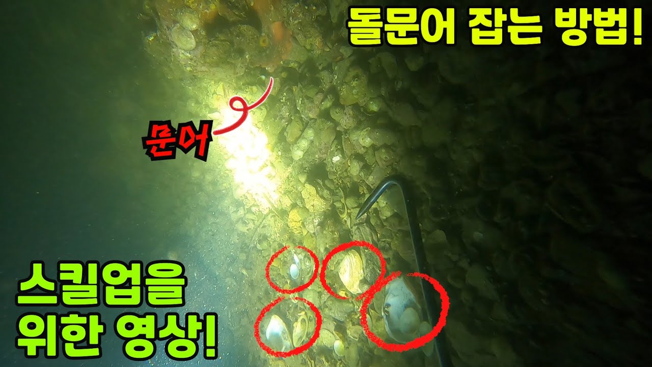 묵직한 마릿수 조과를 위한 초보자 추천 영상!(Octopus Hooking Skill) 문어잡는방법 문어해루질