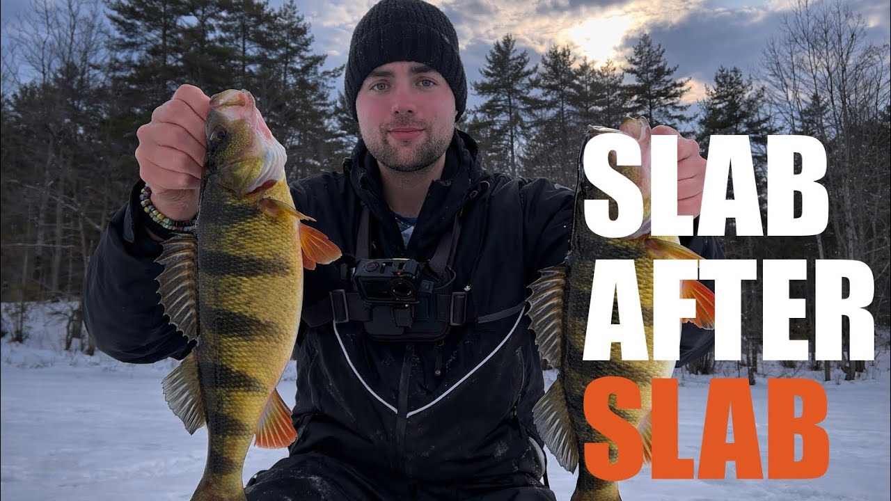 Ice Fishing for Jumbo Perch (They Showed Up)