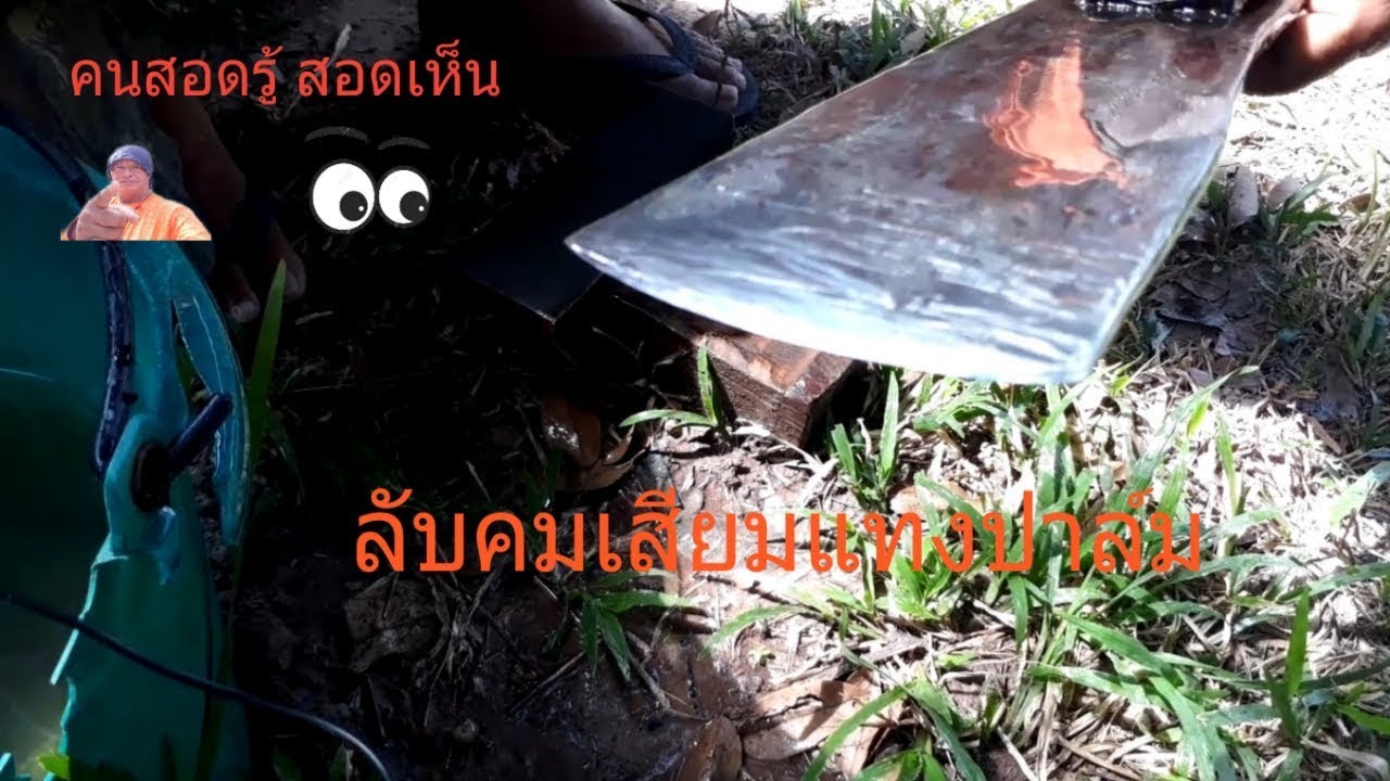 ลับคมเสียมแทงปาล์ม Ep.02