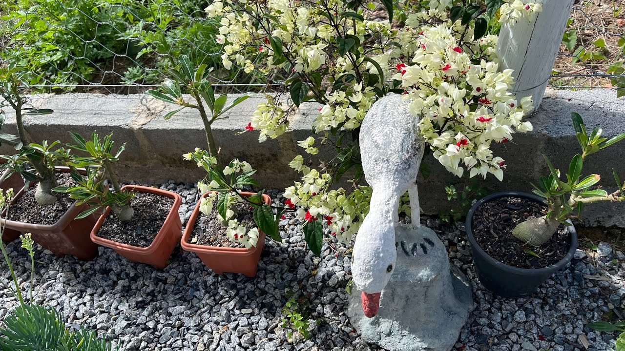 Manutenção e atualização das plantas .
