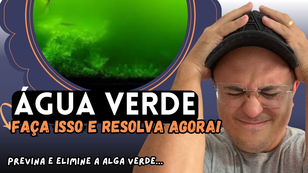 COMO ACABAR COM A ÁGUA VERDE NO AQUÁRIO: SOLUÇÕES RÁPIDAS!