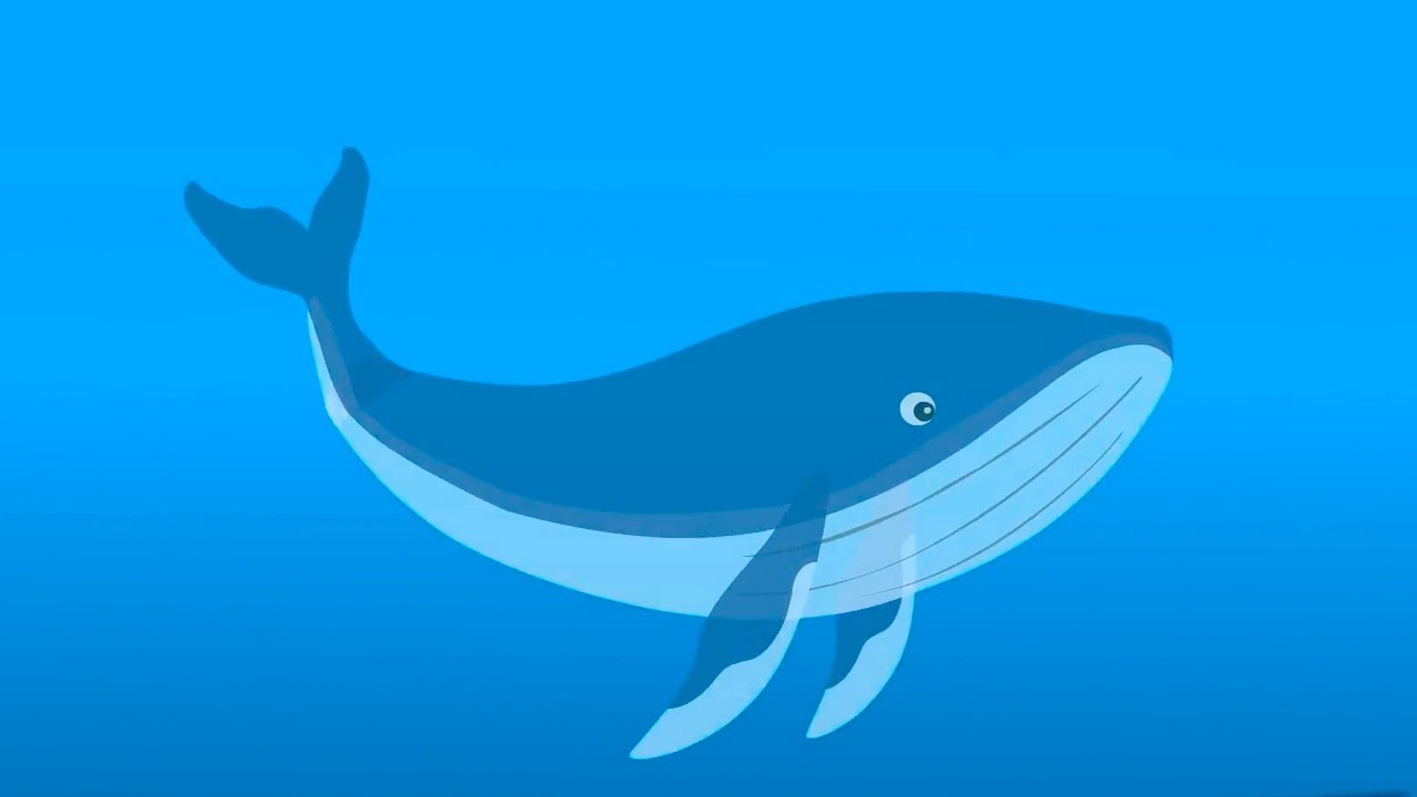 A Whale's Tale - Nursery I LKG | UKG I Play I Activity I Animated | Poems | Stories