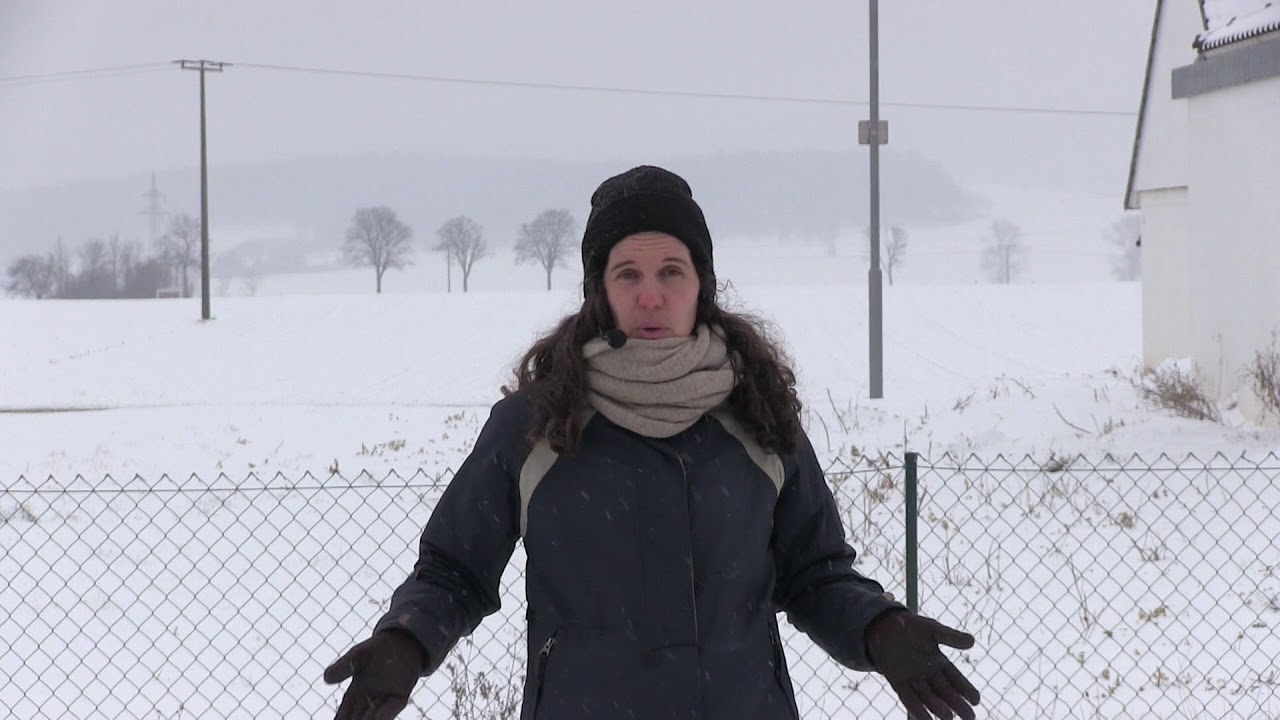 [PaardencoachTips] Coachen in de winter - 6 tips voor paardencoaches
