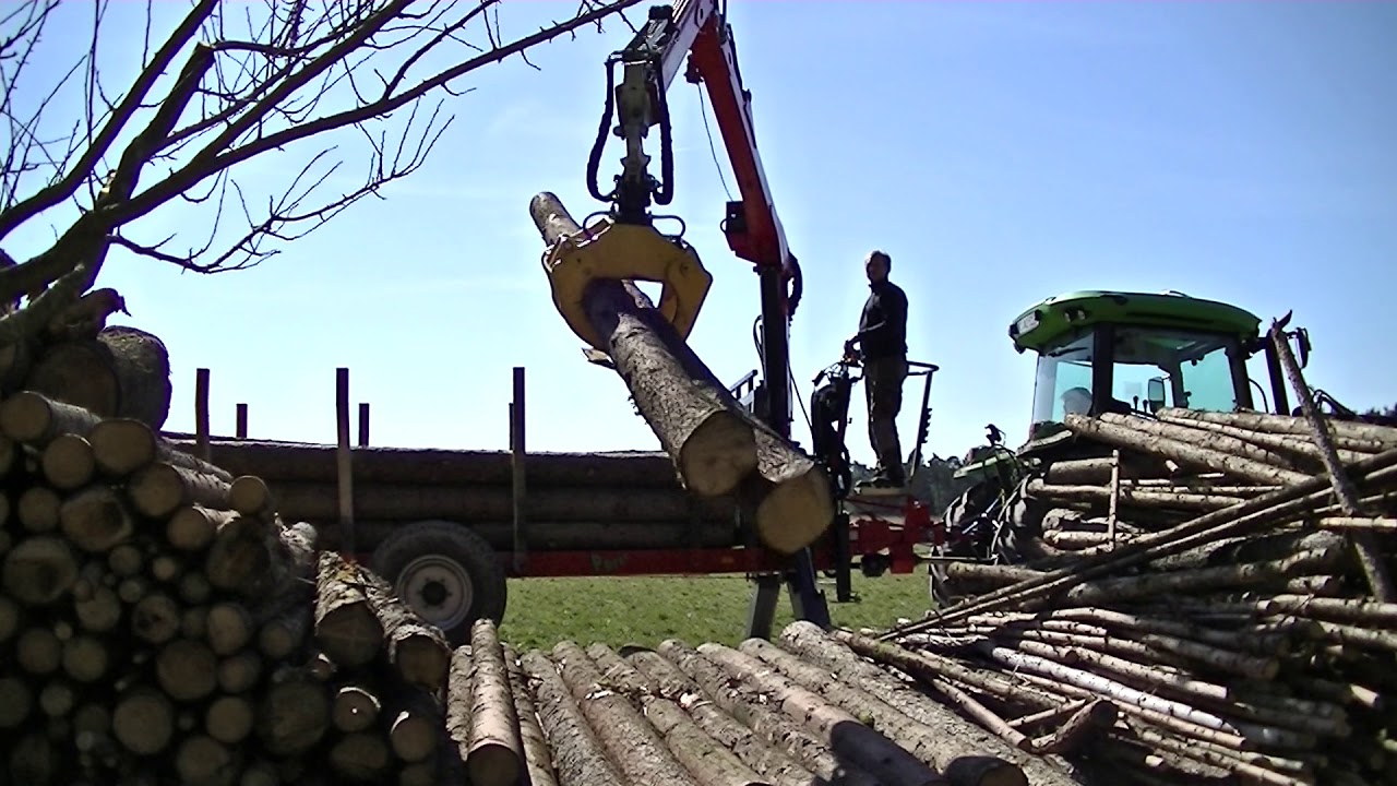 Holz von Sturm 