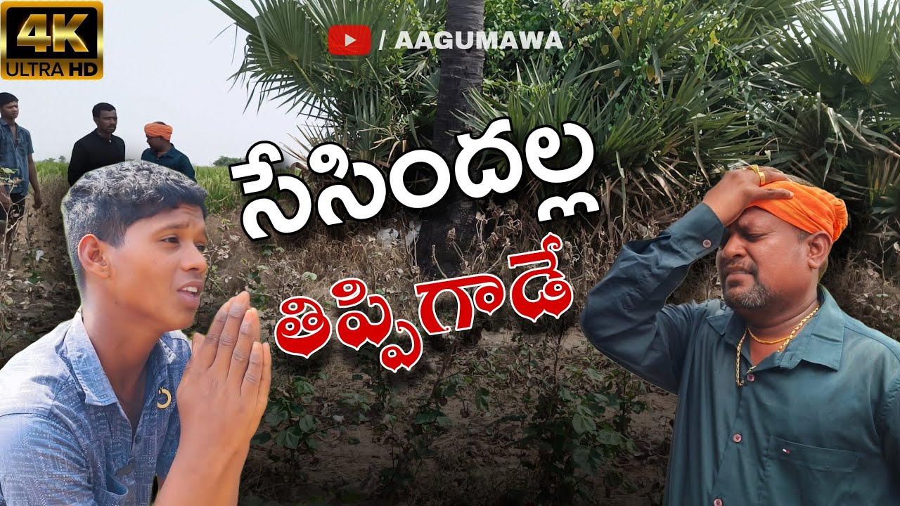 సేసిందళ్ళ తిప్పిగాడే|| Sesindhalla tippigaade || aagumawa || village comedy|| telugu comedy