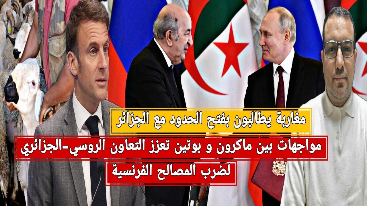 Российско-алжирское сотрудничество подрывает интересы Франции / Марокканские фермеры требуют откр...