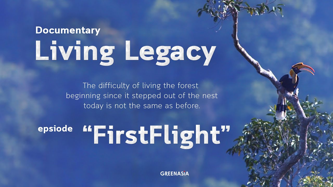 Documentary Living Legacy epsiode “FirstFlight”
