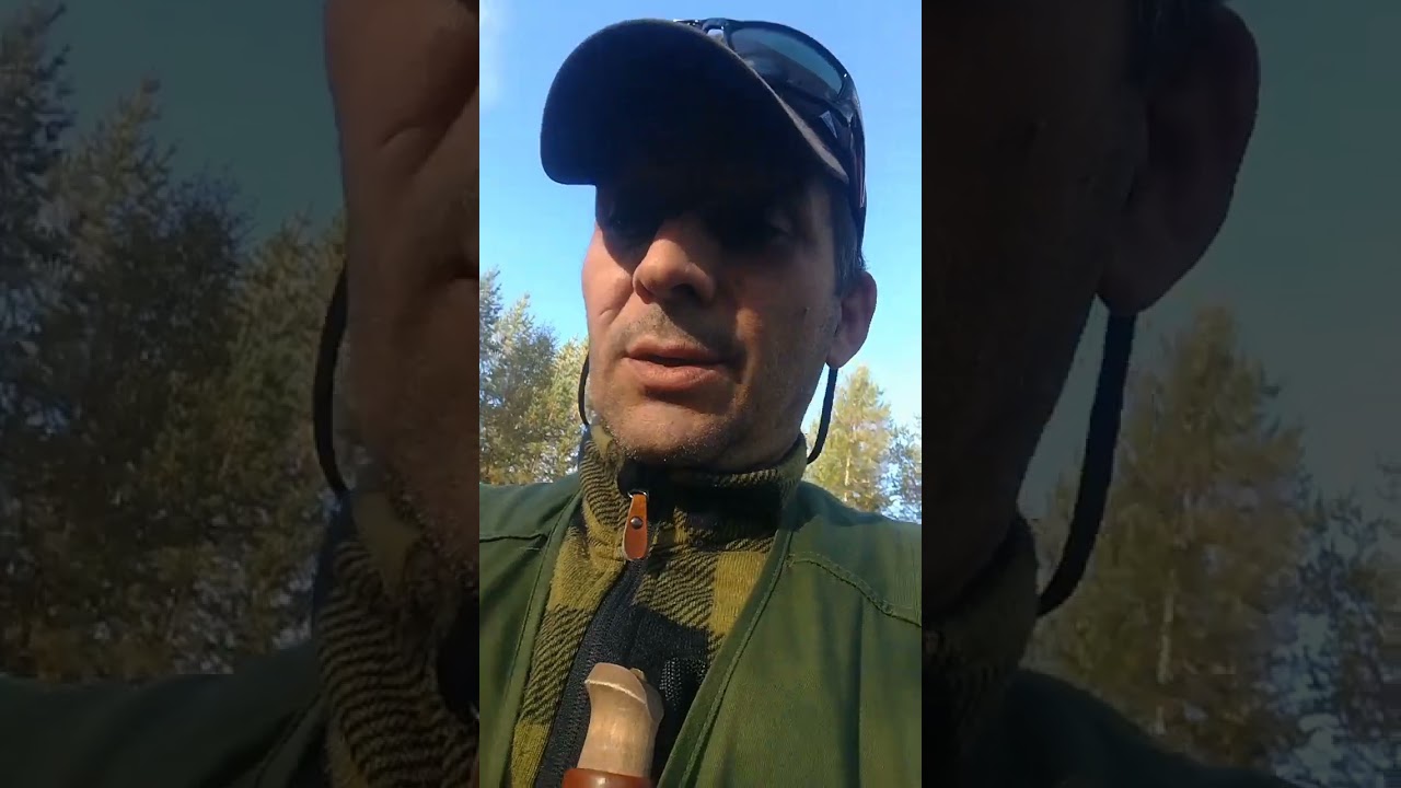 ловля хариуса в глуши #fishing #рыбалка #хариус  #ловляхариуса #финляндия #harjus #taimen