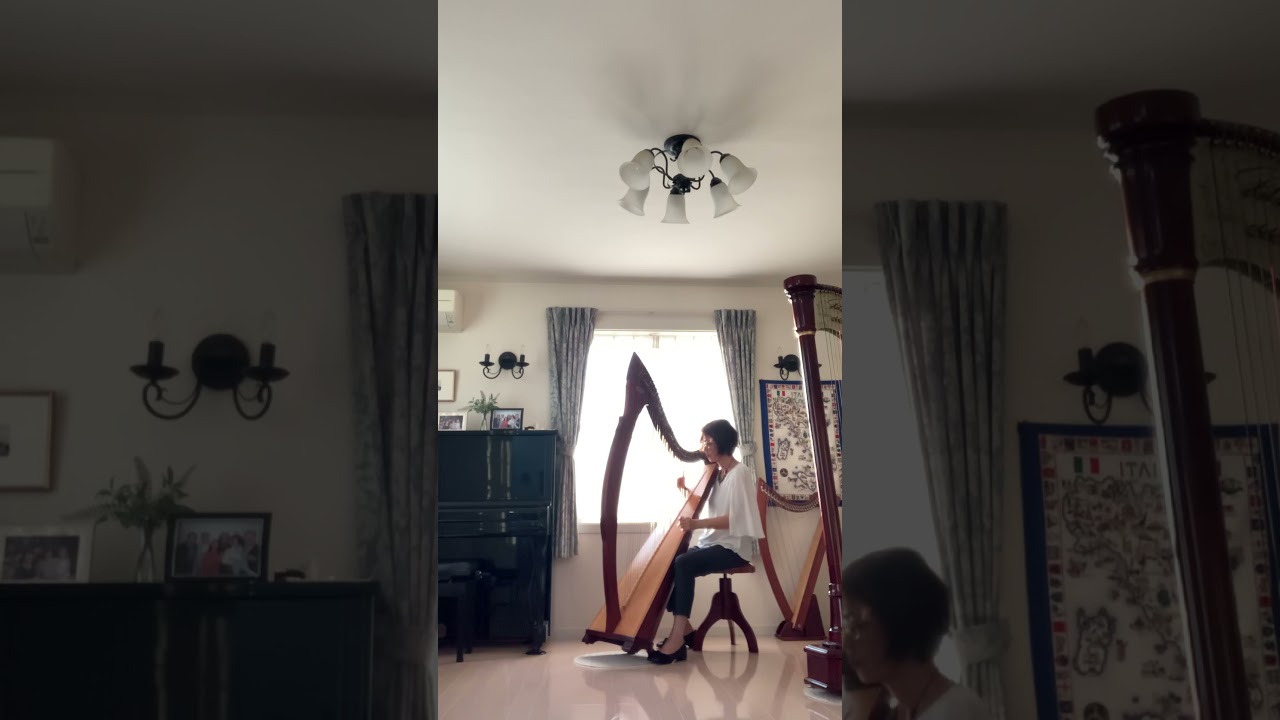 Ave Maria (G. Caccini / V. Vavilov) on Celtic Harp
