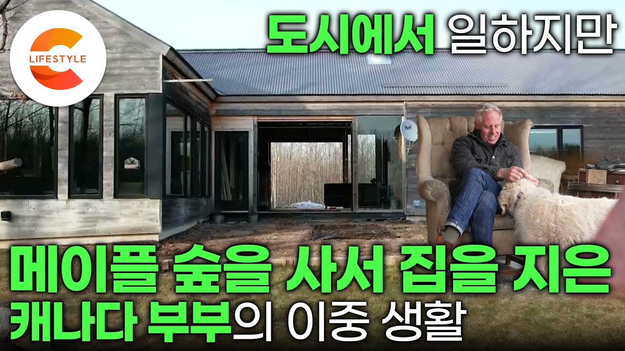 일은 도시에서, 먹고 자는 건 숲속에서🌳 10년 전 사둔 메이플 숲속 땅에 아들 둘, 개 두 마리와 함께 살기 딱 좋은 집을 지은 캐나다 도시 부부ㅣ온타리오ㅣ#숲이그린집