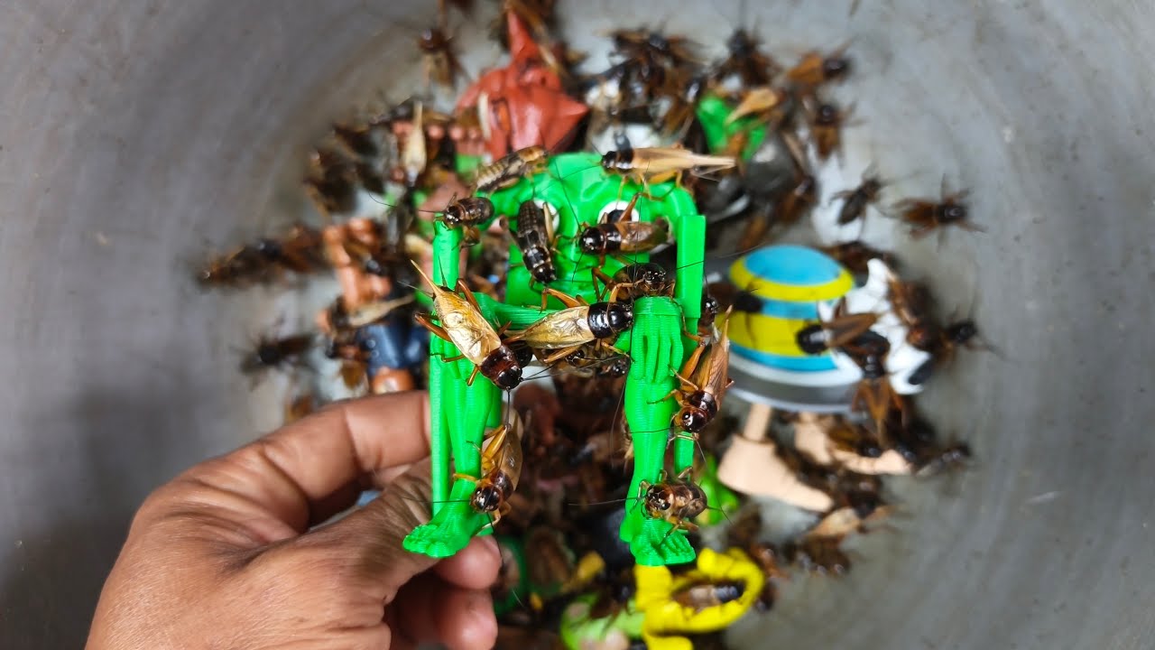 Brainrot Anomali Italian Karkerkar,Tata,Tung Tung Sahur, Udin din, Crickets Dinosaur Comeback Again
