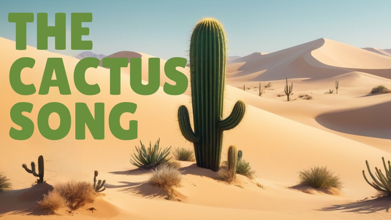 The Cactus song