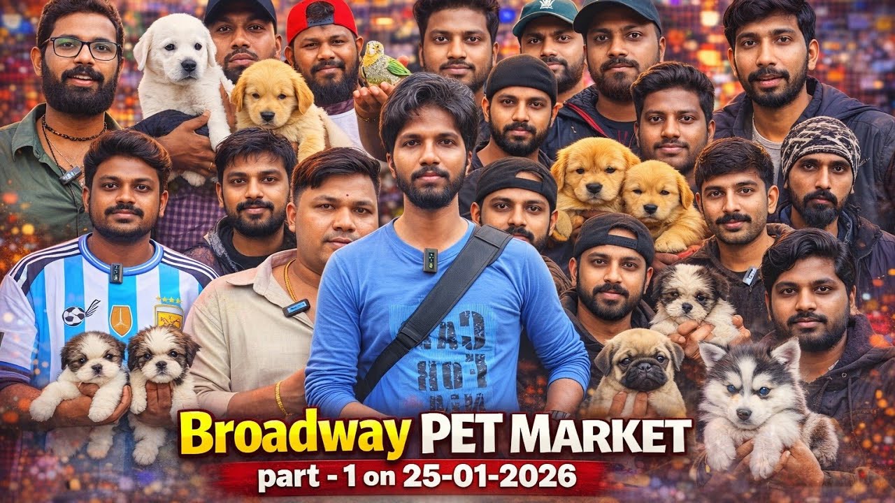 🔥 Broadway Pet Market Full Tour 😱 Cheapest Pets & Accessories in Chennai | Part-1 🐶🐱