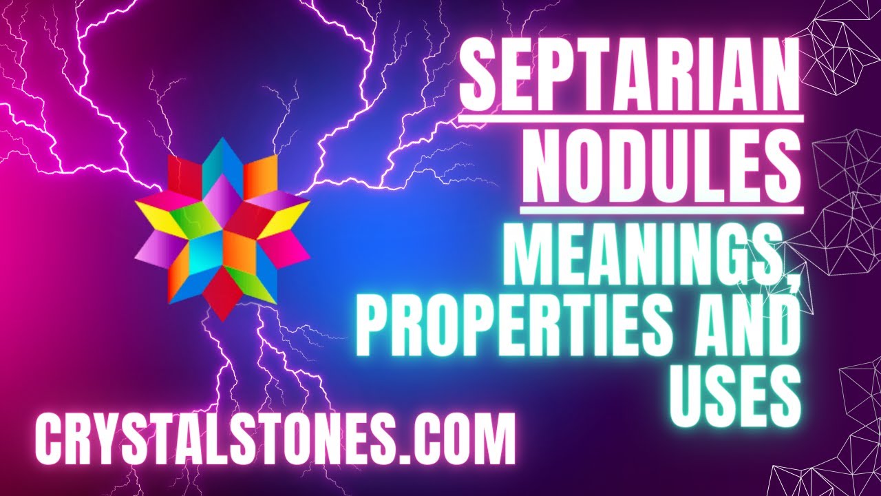 Unearth the Mystery of Septarian Nodules