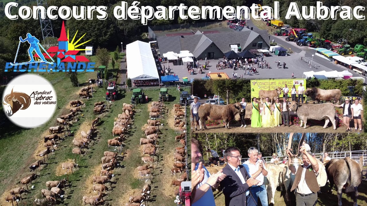 Concours départemental  AUBRAC du Puy-de-Dôme à Picherande