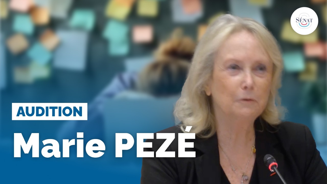 Souffrance psychique au travail : audition de Marie Pezé