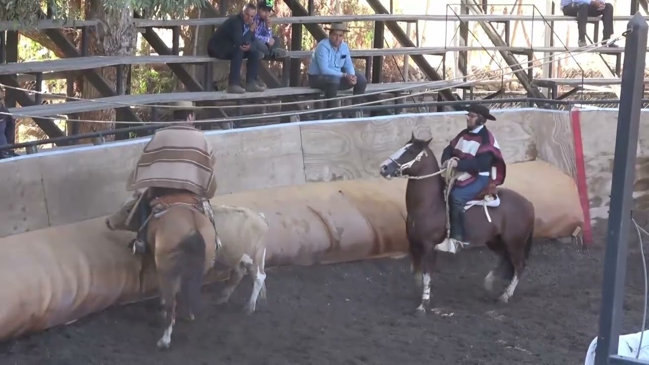 2DA SERIE LIBRE B  RODEO PICHASCA