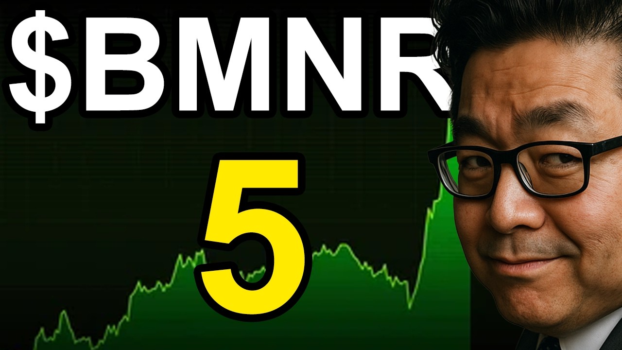5 САМЫХ ВАЖНЫХ новостей о $BMNR за последние 24 часа