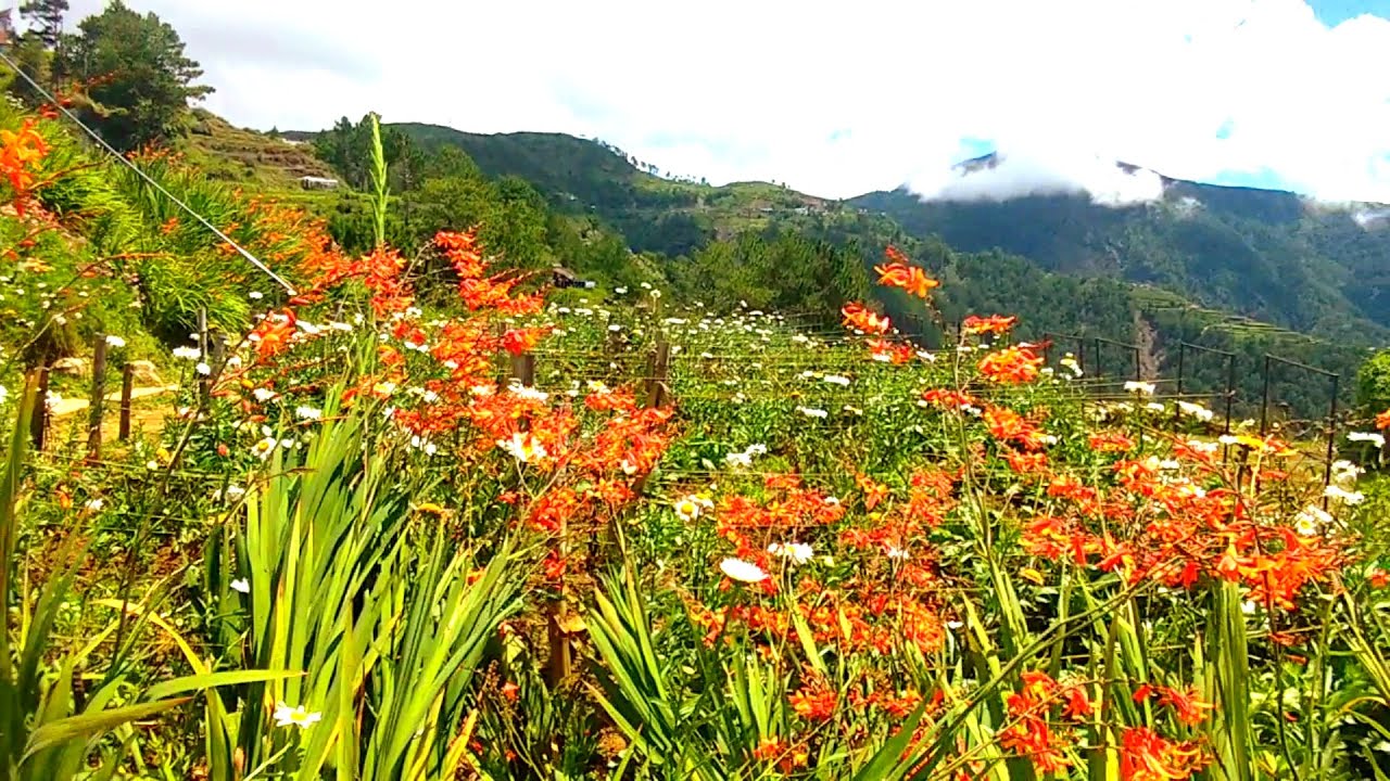 I AM FULLY IN LOVE WITH THIS PLACE SERIOUSLY BEAUTIFUL. WATCH THE WHOLE VIDEO