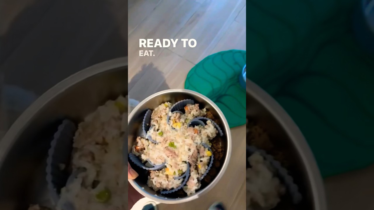 Simple recipe for making ground turkey dog food using an Instant Pot! 🐶 #dogfoodrecipe #puppyhealth