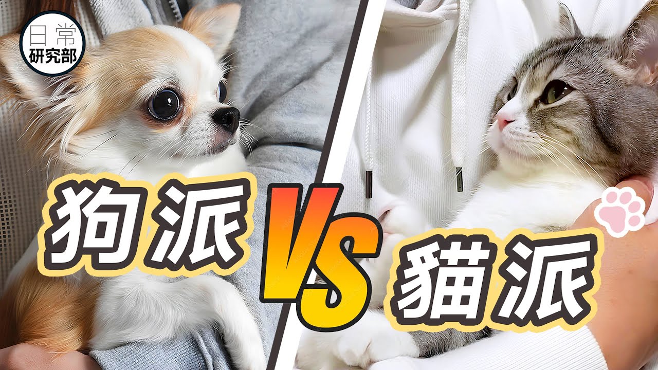 養狗VS養貓｜選擇來自你的性格特質！