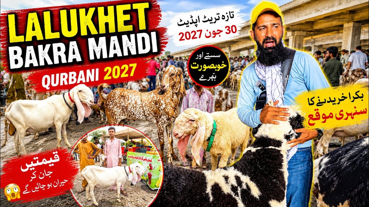 Karachi Bakra Mandi Lalukhet Latest Rates Update 5 Jul 2026 || Qurbani Season 2027