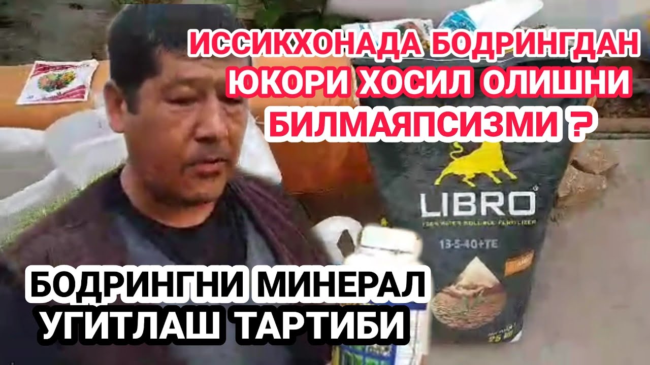 БОДРИНГНИ МИНЕРАЛ УГИТЛАШ ТАРТИБИ