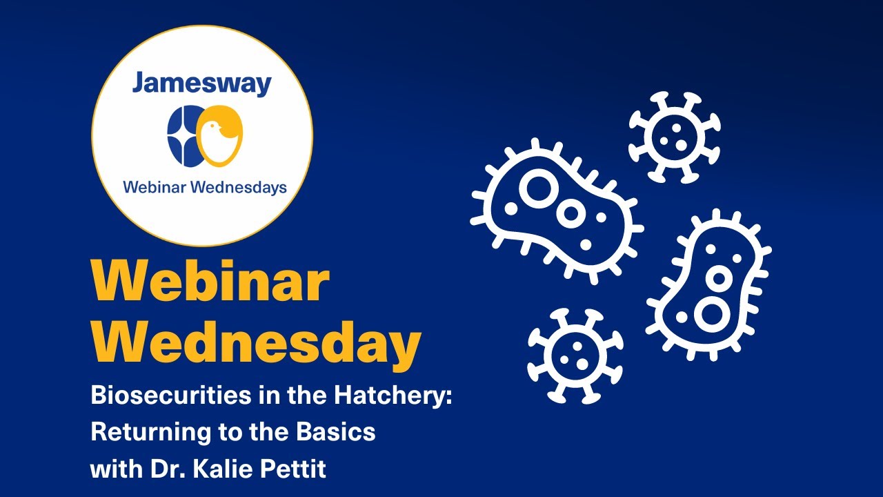 Biosecurity in the Hatchery: Returning to the Basics