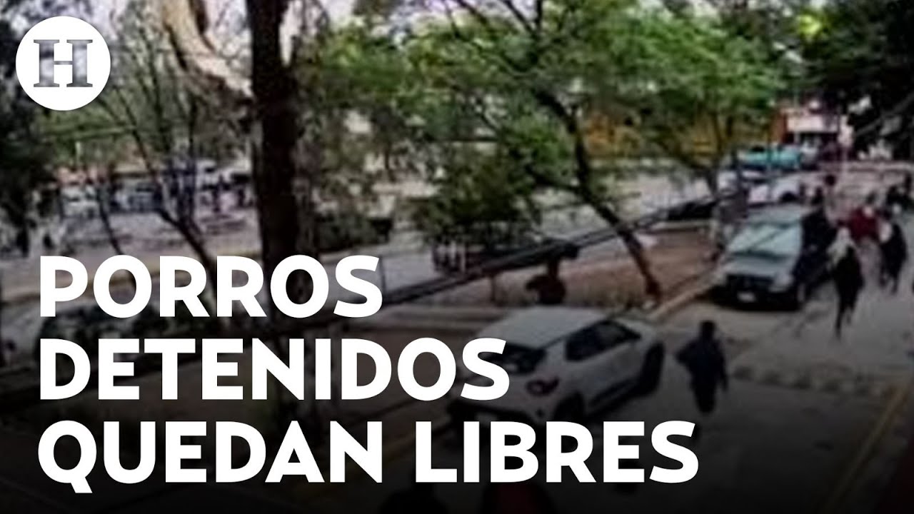 Enfrentamiento porril en CCH Naucalpan: ¿por qué fueron liberados los 9 estudiantes detenidos?