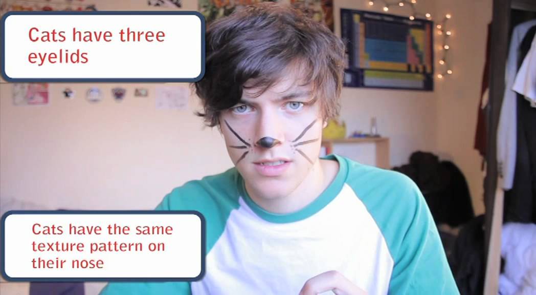 TRUTH OR FAIL: CATS!