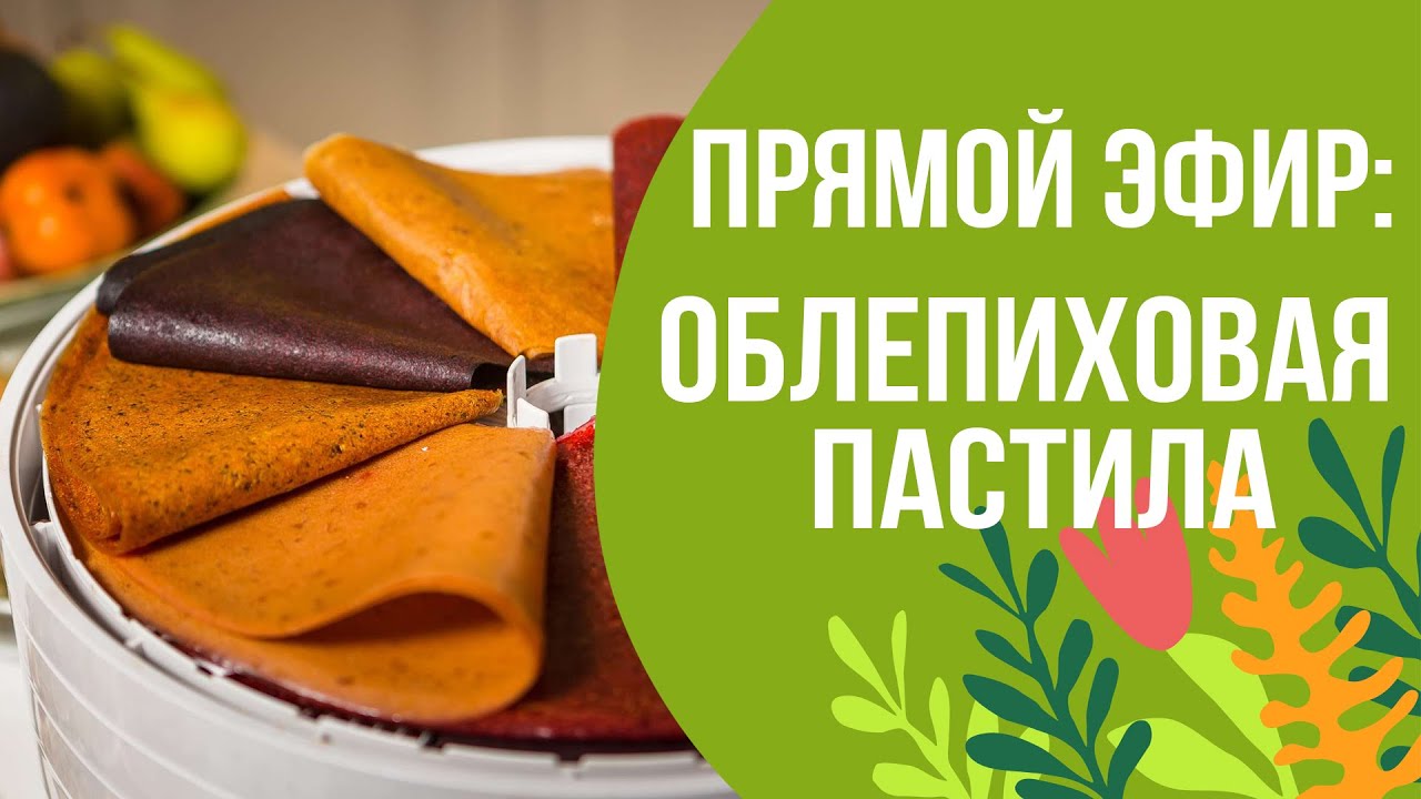 Обалденный рецепт приготовления пастилы из облепихи!