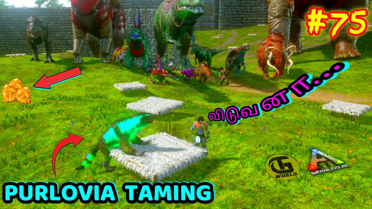DAILY PURSUITS COMPLETING || TAMING PURLOVIA ARK MOBILE TAMIL #75