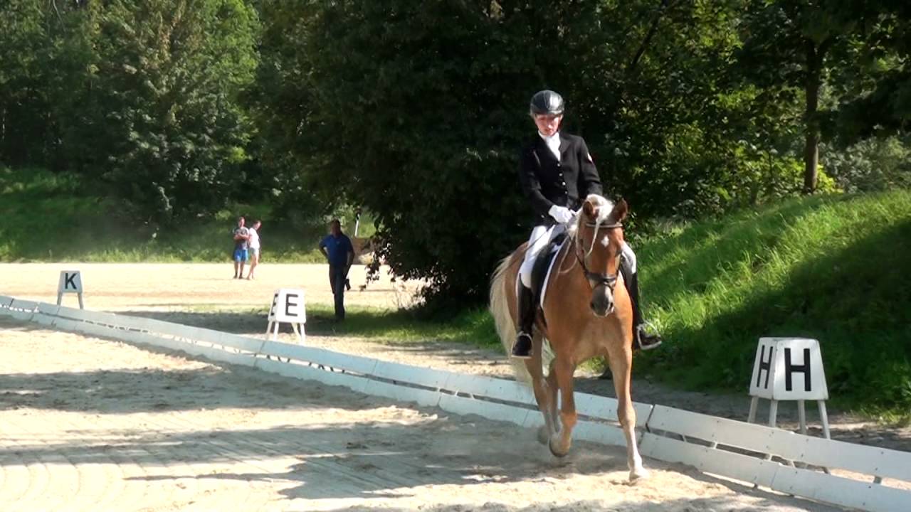Mira Putz - Nico 47 - Hafi L - Stadl Paura 2016