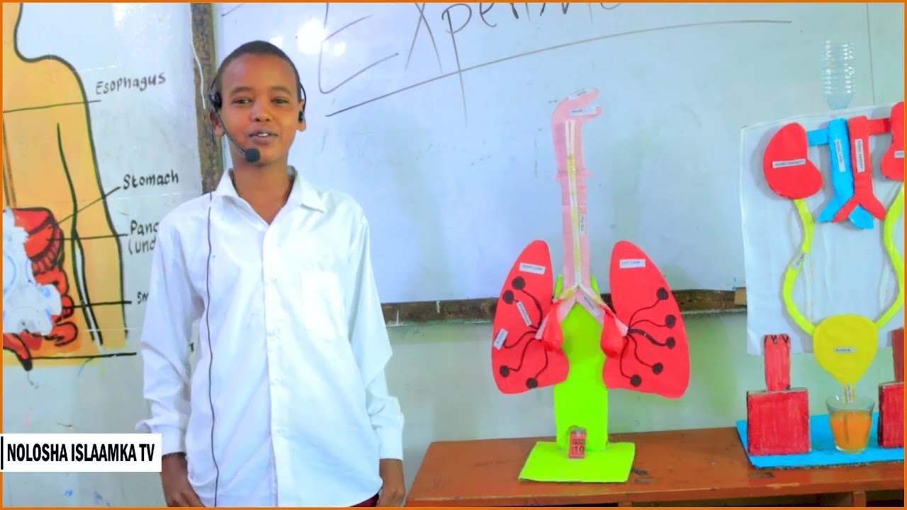 Barnaamijka Bandhiga Ardeyda Dugsiga Caalami Primary And KG School