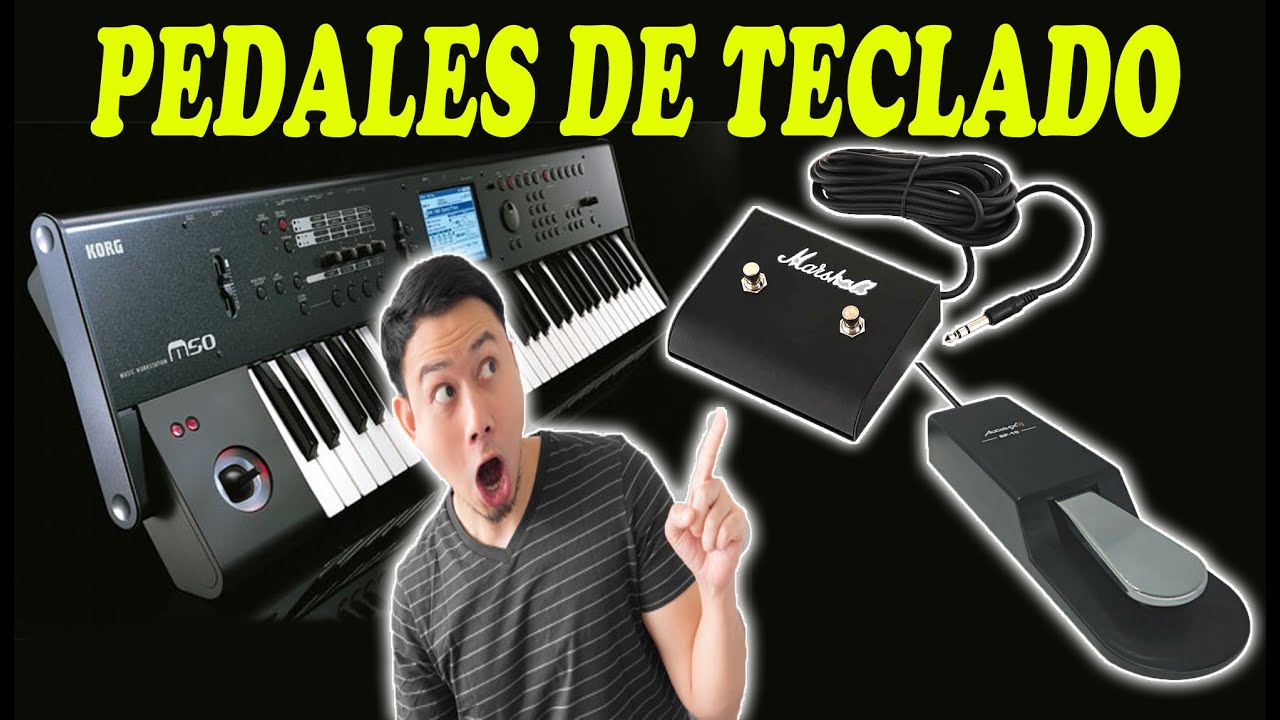 TIPOS DE PEDALES PARA TECLADO MUSICAL