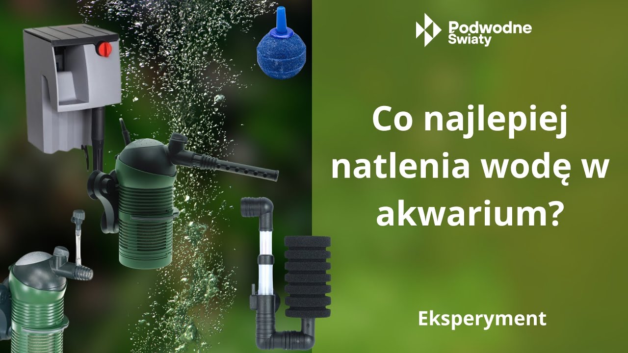 Co najlepiej natlenia wodę w akwarium - Eksperyment