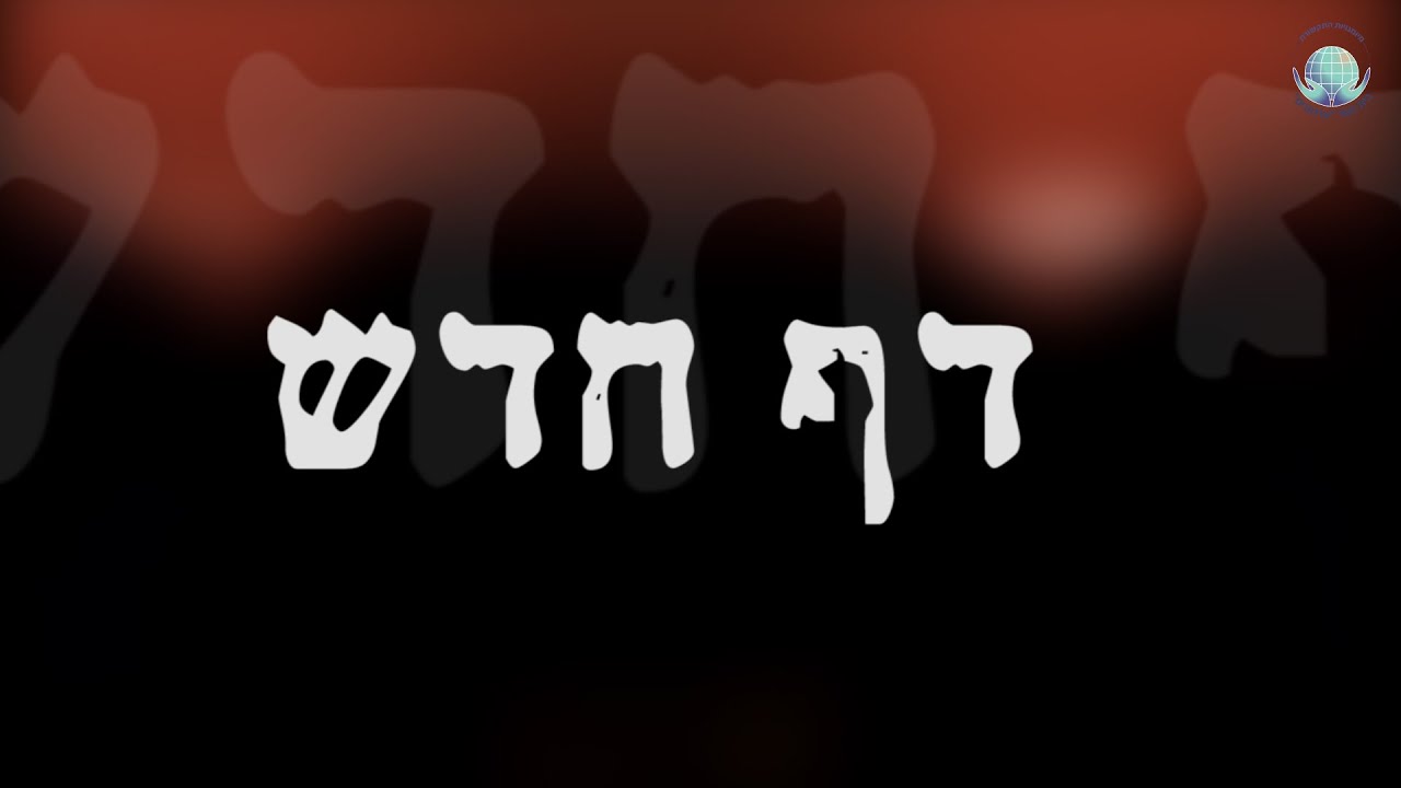 אוסקר ערמונים 2015 - דף חדש