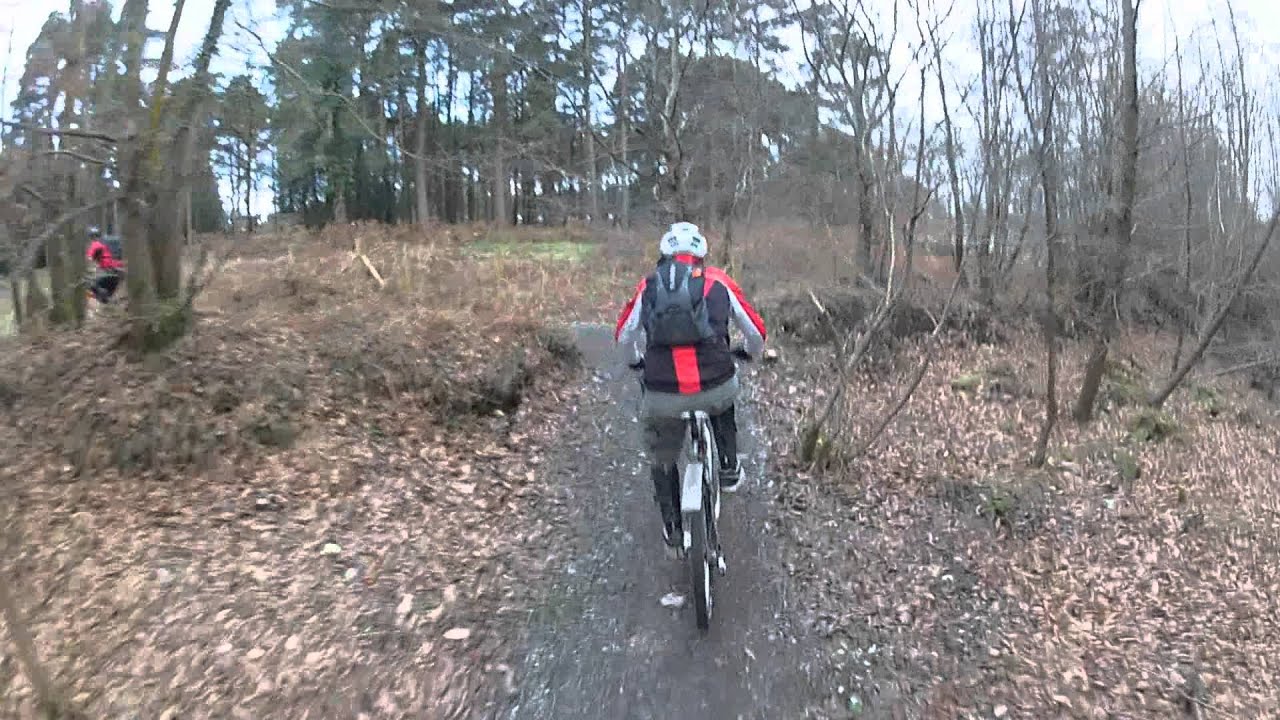 Haldon Forest Red and Black run